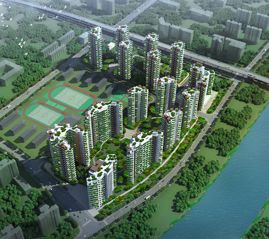 1601963607139418.jpg 9.jpg